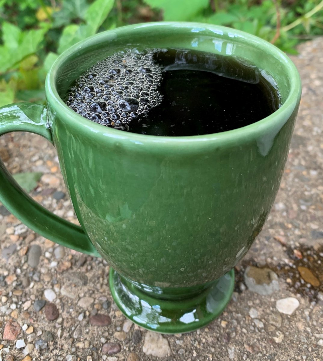 WDCGardener's tweet image. How to Make Your Own Compost Tea in easy steps. It is said to loosen clay soils, stimulate root growth, and boost overall plant health:
washingtongardener.blogspot.com/2020/05/diy-co… #gardendc #compost #composttea