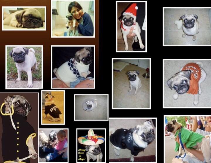 𝙎𝙝𝙚𝙡𝙡𝙮 𝙎𝙖𝙣𝙘𝙝𝙚𝙯 💡 tweet media