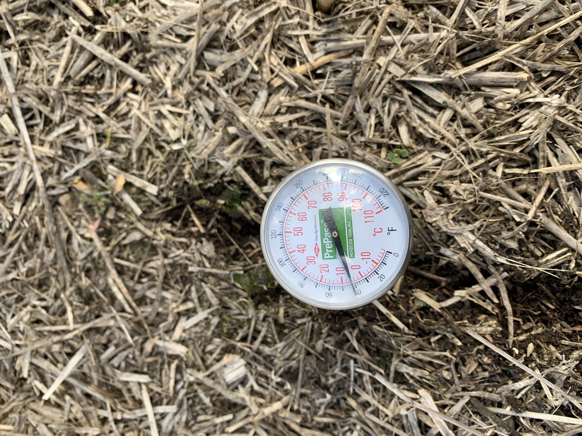 Amber Danderfer tweet media