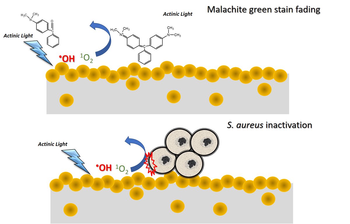 rengifo_j's tweet photo. Algo interesante en épocas de coronavirus: superficies poliméricas autolimpiantes y antimicrobianas fotoinducidas conteniendo nanopartículas fotocatalizadoras de TiO2 
@cindeca @CONICETDialoga @CONICETLaPlata  @exactas_unlp @unlp @CICPBA @RAdPC @norabar 

https://t.co/irmvEh2UQd https://t.co/n4gST8hUXv