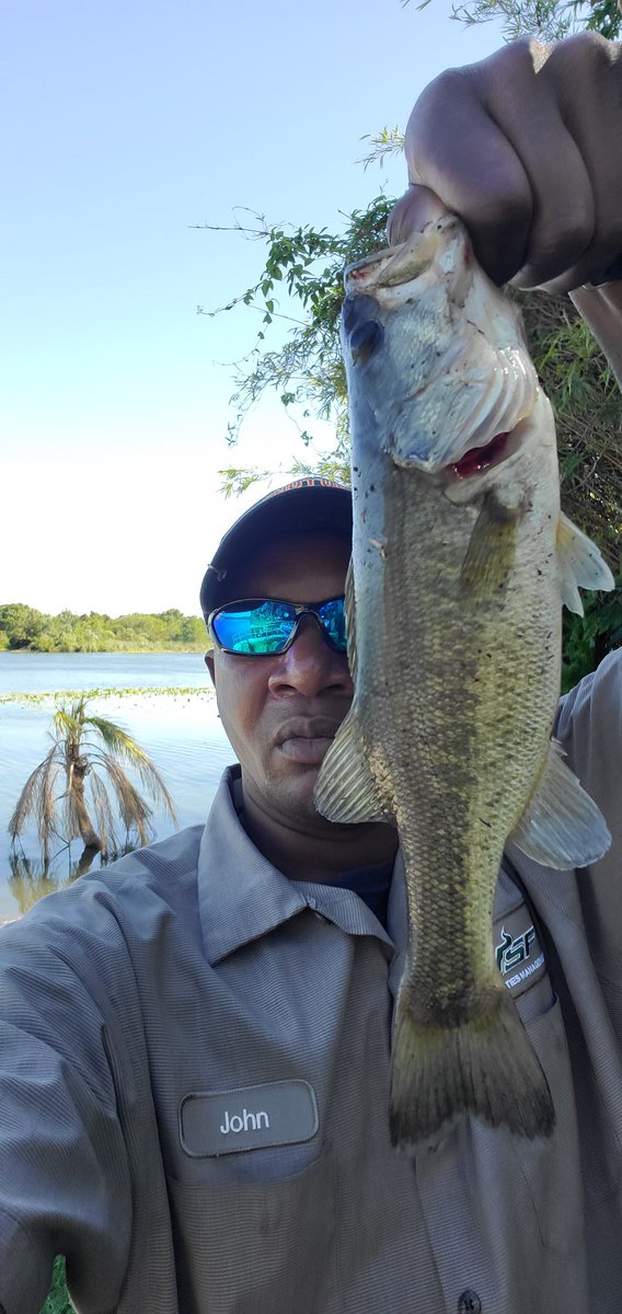 nukestyle1's tweet photo. Like Rodman Bendue Dothatshit said out fish who https://t.co/SbrcWjsMv3