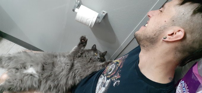 Rino 🇨🇦 TOP 82% OnlyFans 🦏's pics and videos - EW9qhH3WsAAneWL jpg:small