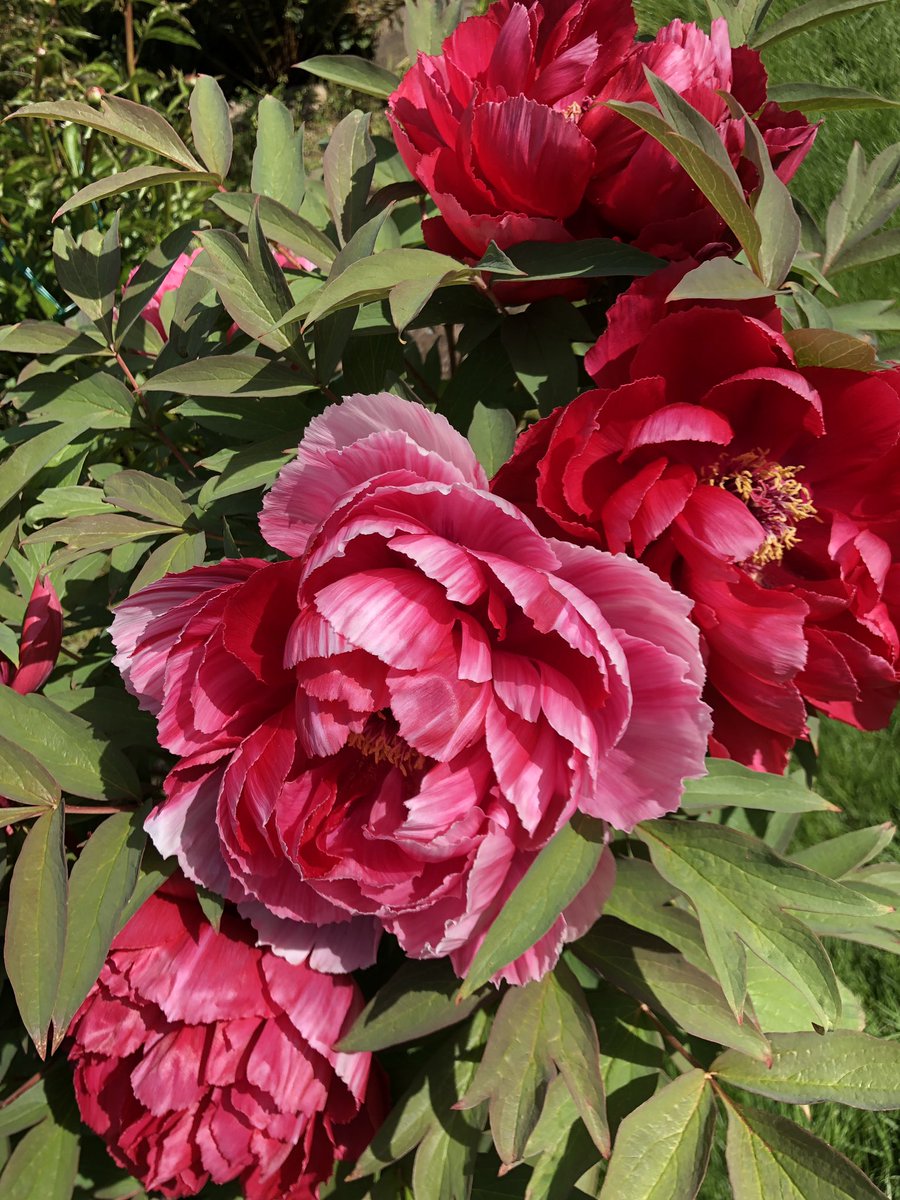 PatCodes's tweet image. 