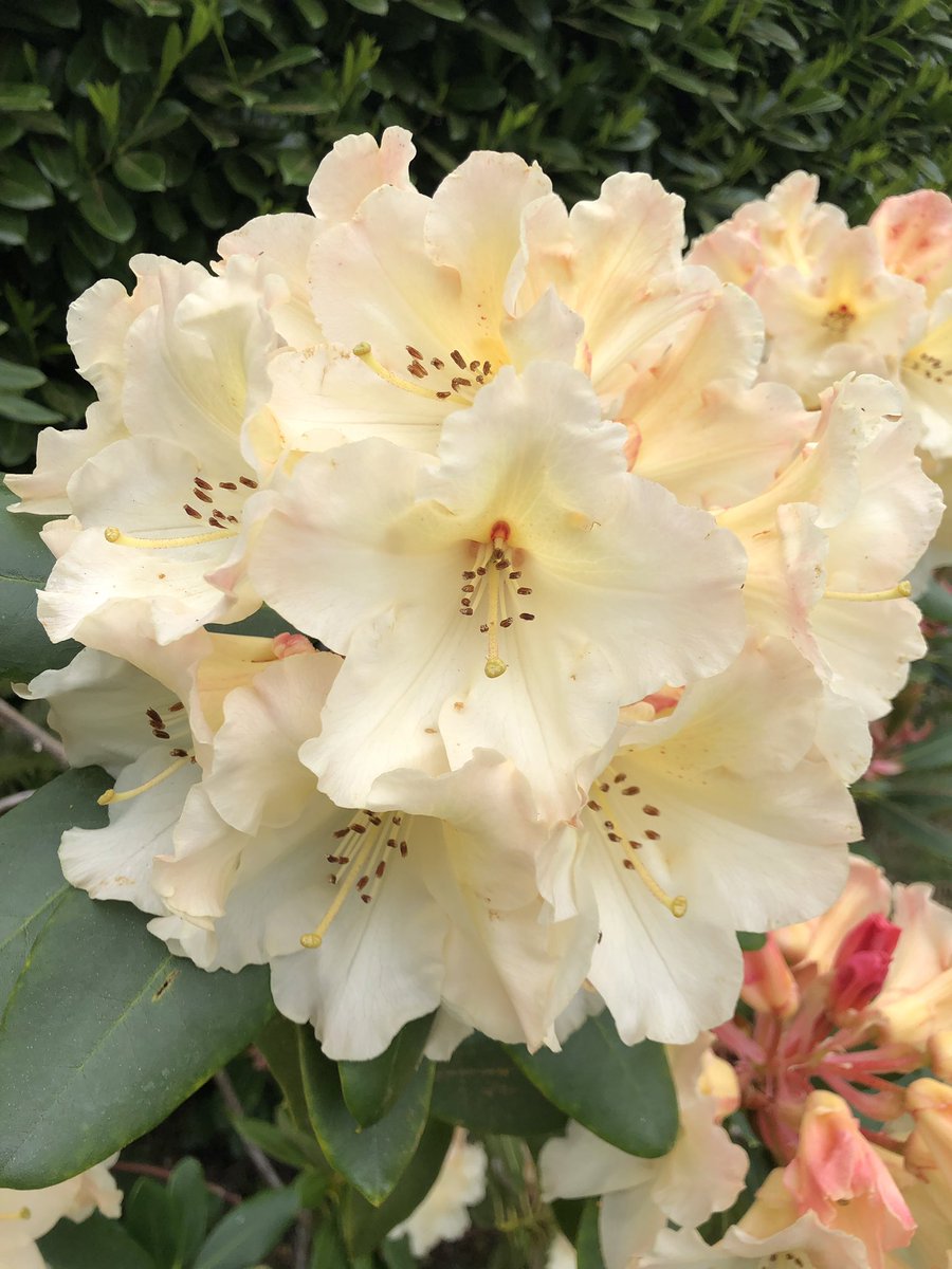 PatCodes's tweet image. 