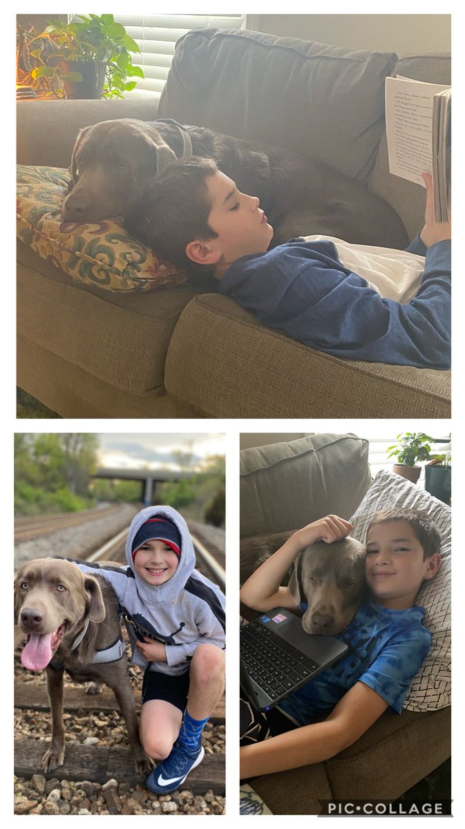 StoffelSuzy's tweet photo. Dawson &amp; Max have been inseparable during ⁦@JCPSKY⁩ NTI.
#FurryFriendFriday 
#jcpshealthyathome https://t.co/fEhIXRRjpM