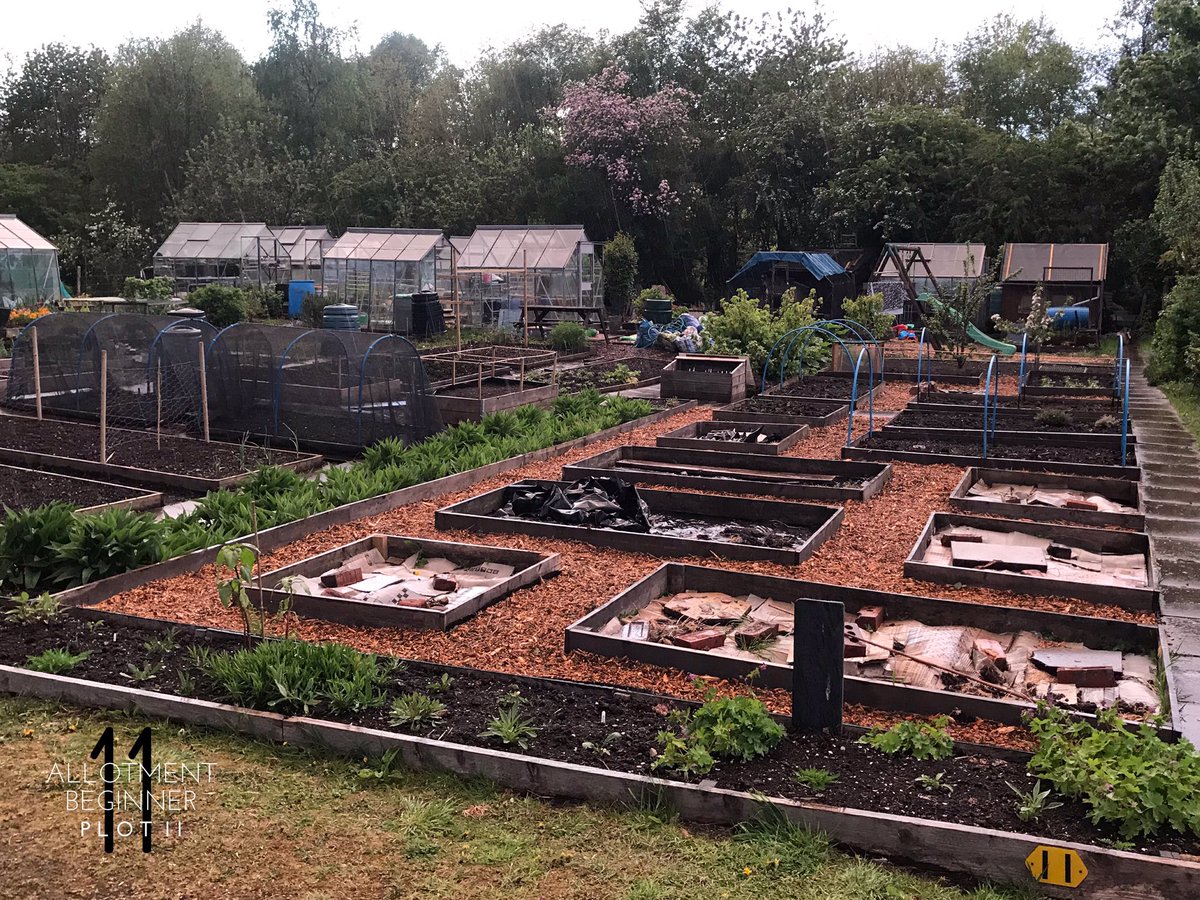 AllotmentPlot11's tweet image. All I need is some muck! 😁 Evening delivery of Chip Bark and 32 barrow loads later and I finally have my paths! 💪🏼

#Allotment #Allotmentlife #FamilyPlot #love #gyo #greenhouse #shed #pottingshed #Plot11 #AllotmentBeginner