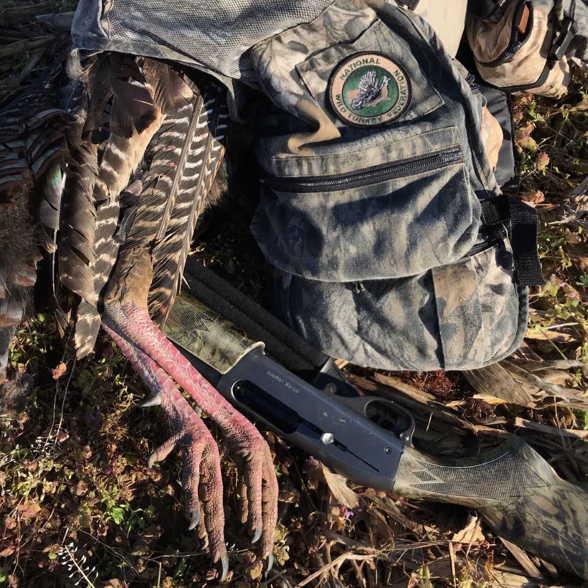 kyfishwildlife's tweet photo. RT to help us salute the wildlife agency staffers, conservation partners such as @NWTF_official, landowners, & other s supporters of #WildTurkey restoration. Some of us remember when there were not enough wild turkeys to see or hunt. #HuntKY #myKYoutdoors #TeamKentucky https://t.co/UlUzTeNhhG
