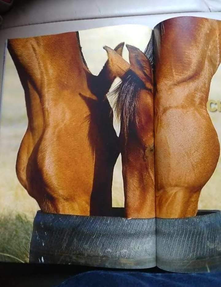 Olha bem!!! Mente suja!!