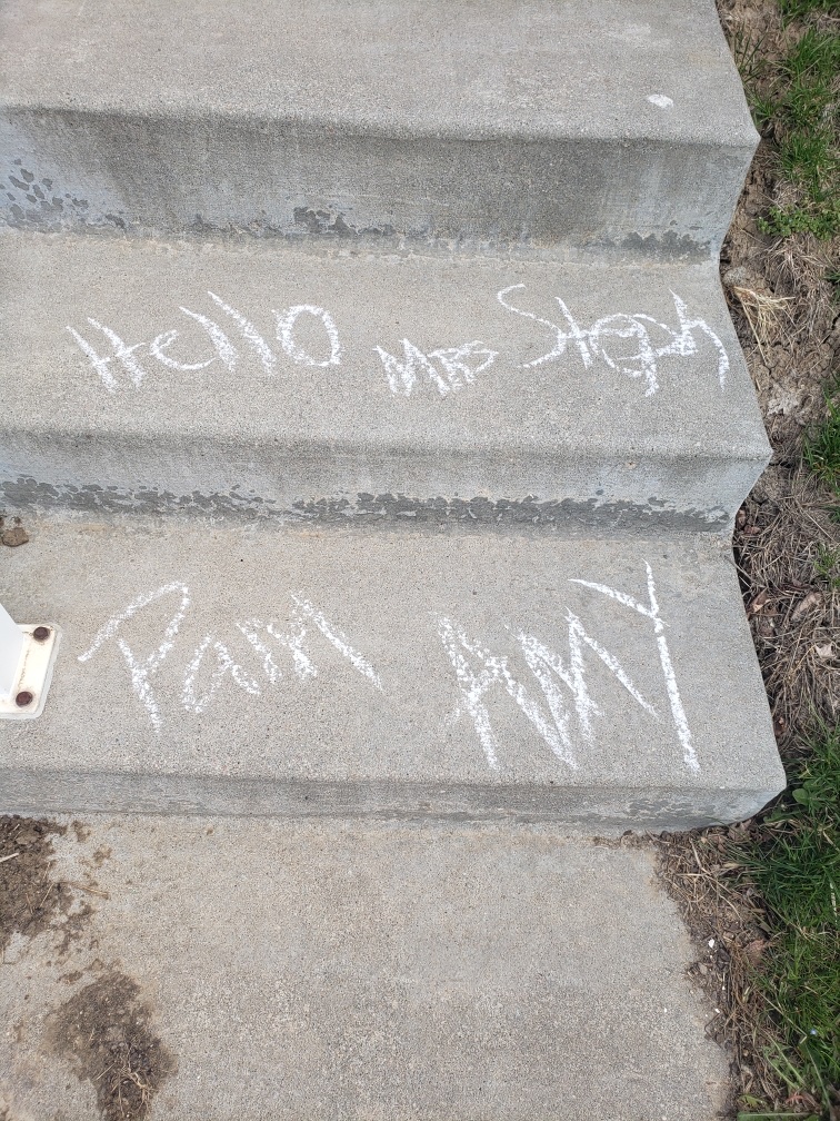 Steph Mackel tweet media