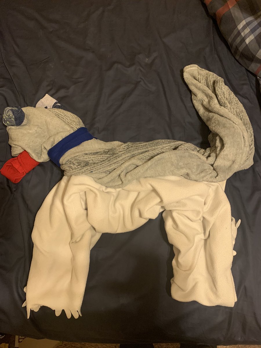 JQPluckhahn's tweet photo. @TheissArtRoom Crosby made some laundry art! Here is his laundry dog...Astro! How fun! #theissfamily #artisticallyinKLEINed https://t.co/QUema1EtTl