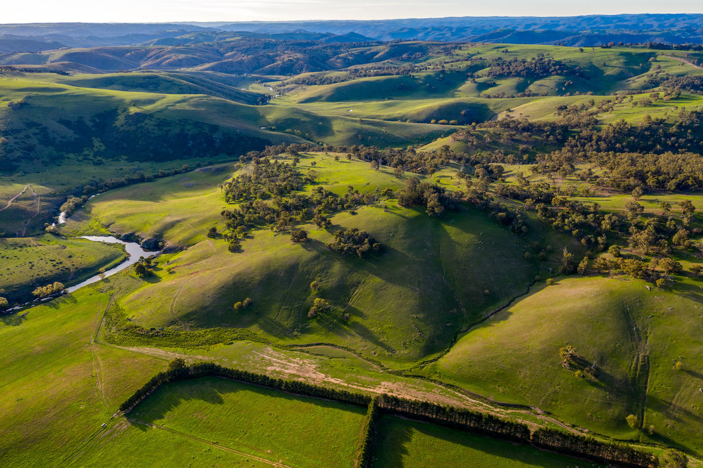 تويتر Farmbuy Com على تويتر Golspie Nsw 158 Acres Kelbri Homestead Nestled In A Valley Setting This Property Highlights Outstanding Permanent Creek Frontage With Areas Of Elevated Outstanding Scenic Views For تويتر Farmbuy Com على تويتر Golspie Nsw 158 Acres Kelbri Homestead Nestled In A Valley Setting This Property Highlights Outstanding Permanent Creek Frontage With Areas Of Elevated Outstanding Scenic Views For