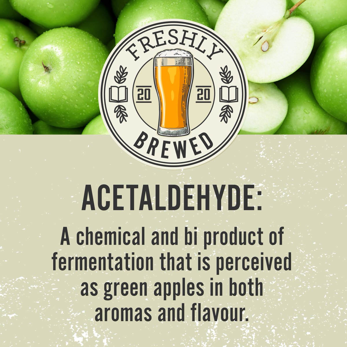 This week, Freshly Brewed is enhancing your knowledge on chemicals and bi products of fermentation – check it out 👇🍏