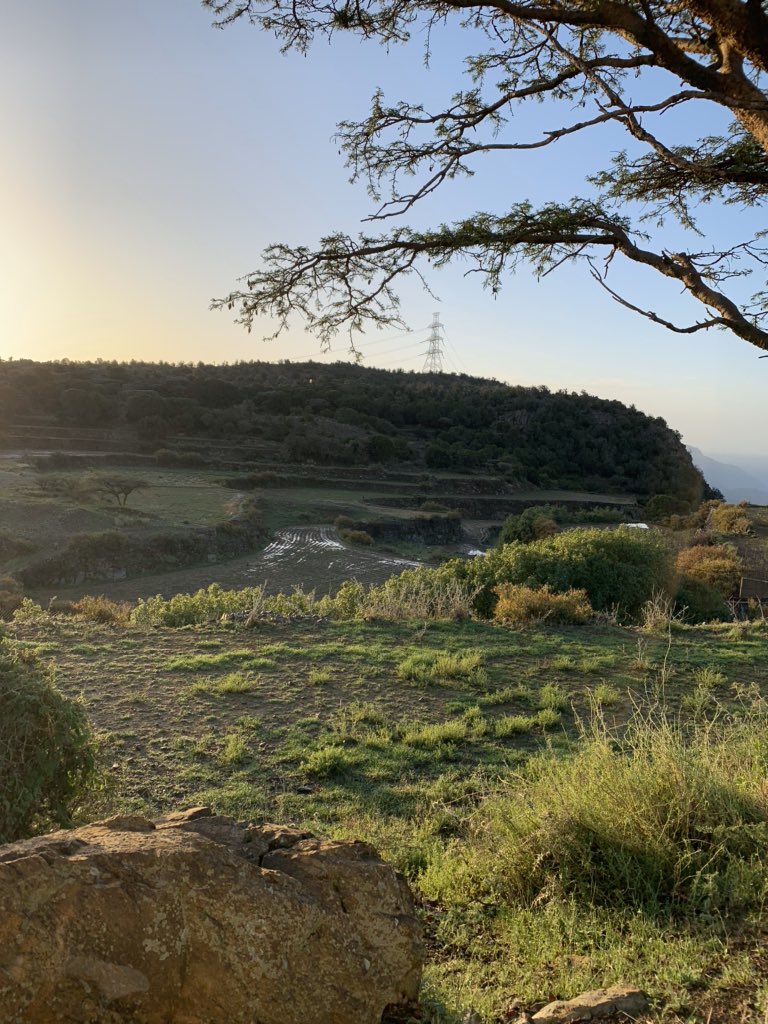 مداوي الأحمري tweet media