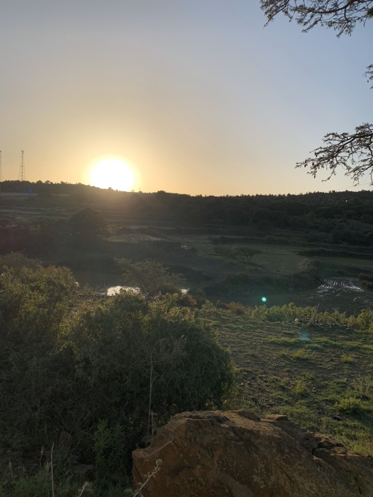 مداوي الأحمري tweet media