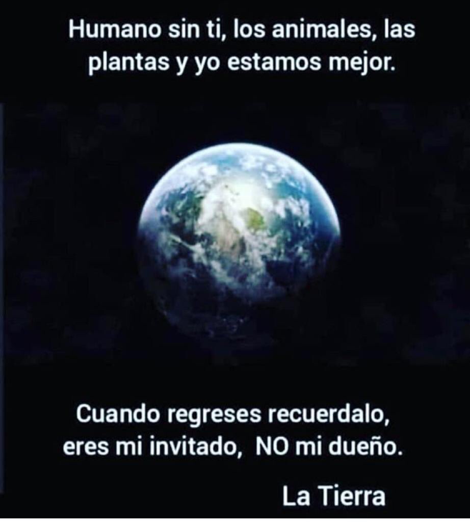 Lo recordaremos! 🙏🏻 #LeccionesdeCuarentena #palabrasconluz #AprendoEnCasa #QuarantineLife #tiempodeaprender #redesign #reboot #paradise #HumanityForward #LosBuenosSomosMas #amordelbueno #nature #respect #naturaleza