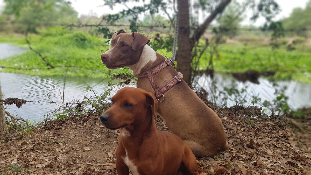 _sgcc's tweet image. No hay mejor compañía que la de ellos y mi familia.😍🥰