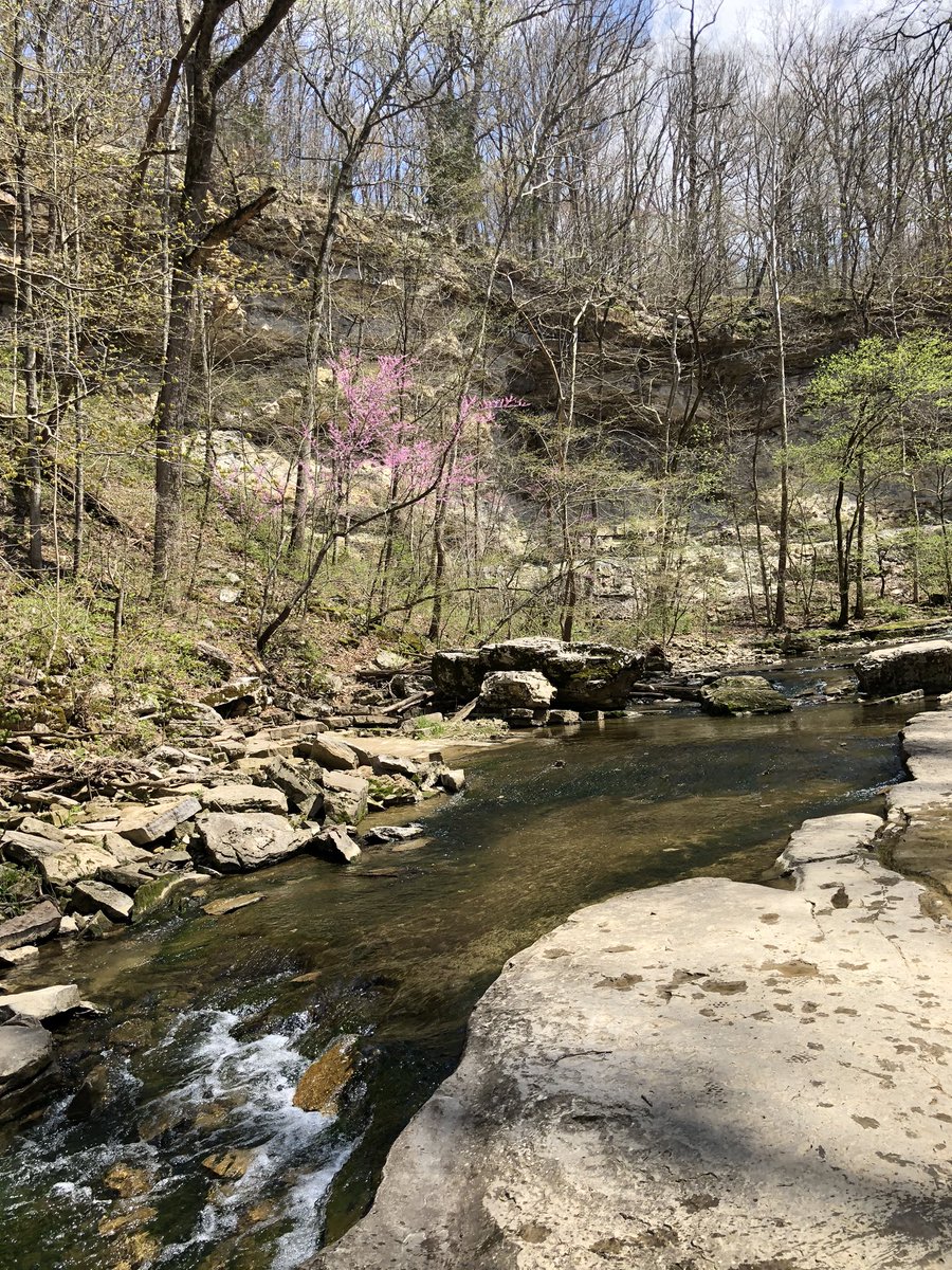 mmakala13's tweet photo. Should have done a panorama of the #views #mccormicks #hikes #datesduringapandemic #stateparks https://t.co/fR4Ycp2aW0