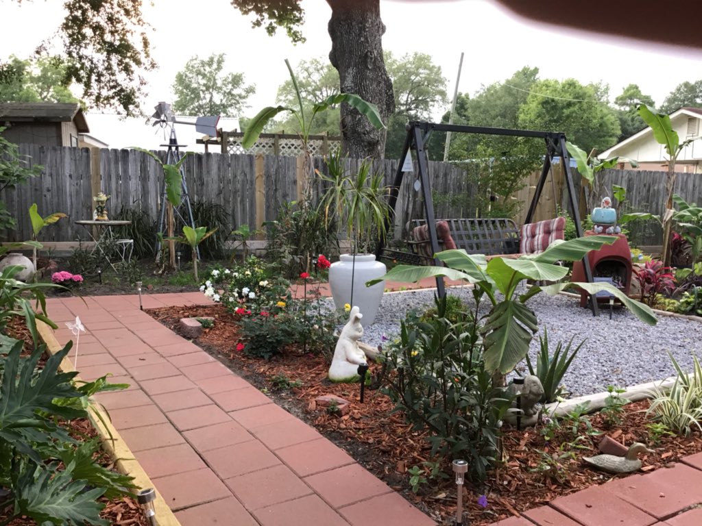 Hey y’all dis lou! Mom says it’s been a month, and that pretty soon I’m gonna have my voice back! She has just worked and worked in da yard, jus tryin to stay busy I think. Me and ivy and coco been helpin lots watering all does plants😂 and wit all da diggin! Love lou❤️