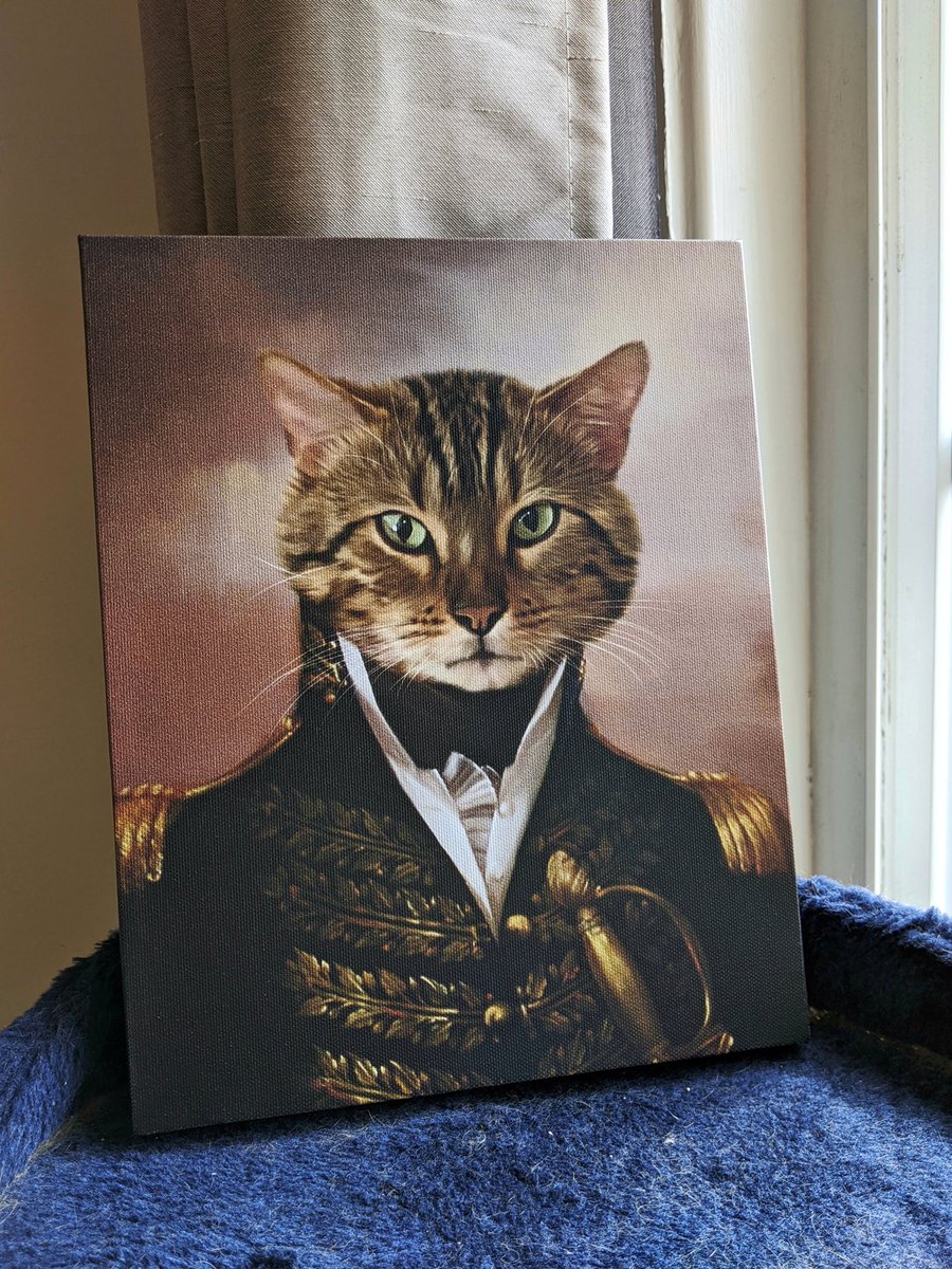 Gina Darling tweet media