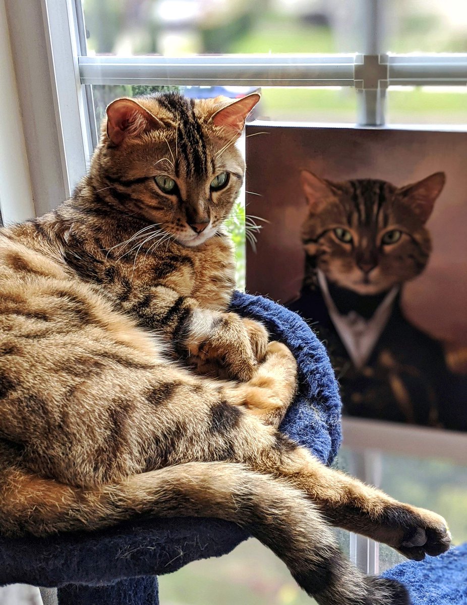 Gina Darling tweet media