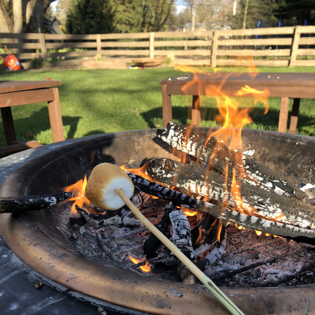 1meanPi_rate's tweet photo. Marshmallow roasting level: #expert 😎
#godwinmath #gpnfamily #smores #quaratinelife https://t.co/ECaZOaqwl0