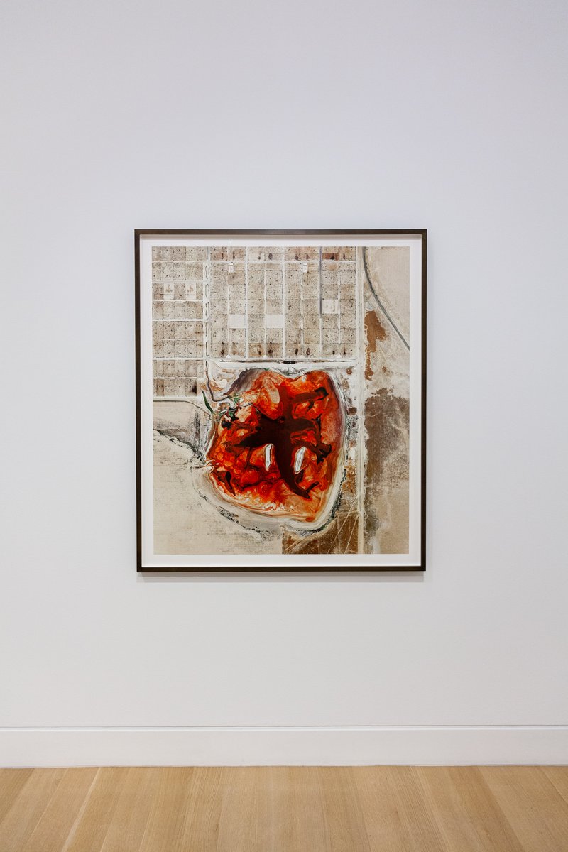 DePaulArtMuseum's tweet photo. #MishkaHenner compiled screenshots from @GoogleEarth
to create this illicit view of a feedlot in Texas, drawing attention to the treatment of animals in the livestock industry and the harmful impact these practices have on the environment: https://t.co/AiUkbsh8iI #DigitalDPAM https://t.co/cNEFctbCGD