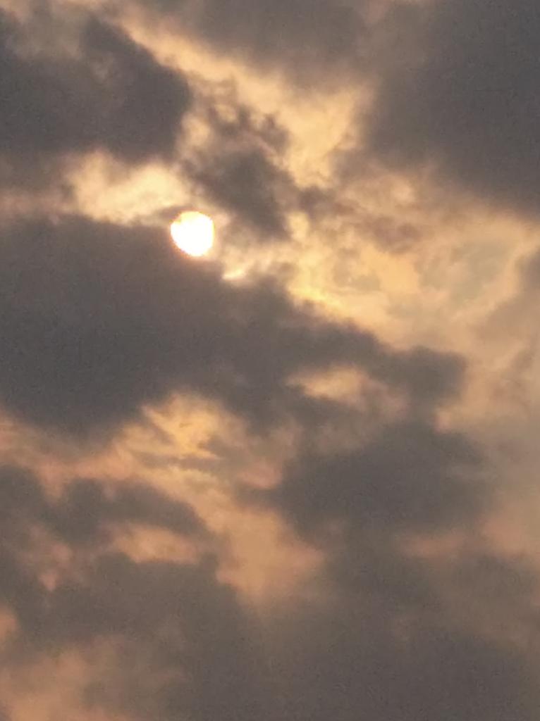 mariposatuitera's tweet image. "El sol es el resorte que lo maneja todo. El sol preserva la vida humana y suministra toda la energía humana".  Nikola Tesla. 🌇