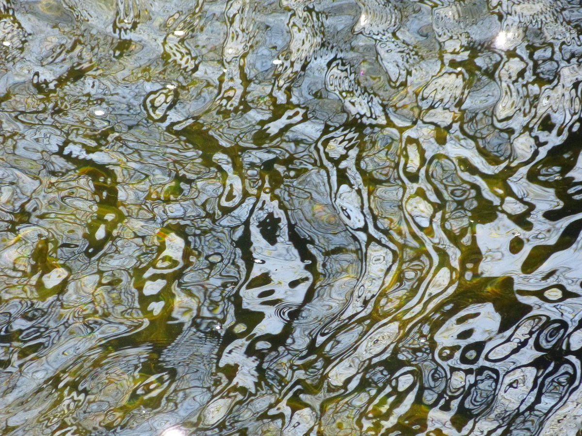 Fascinating ripple patterns I saw today near Kendal:
#ripples #ripplepatterns