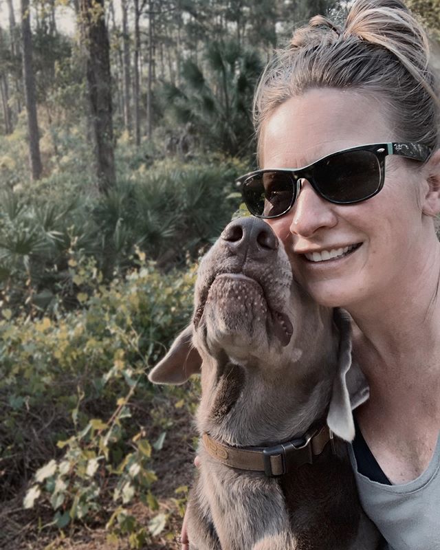 theOGintrovert's tweet image. My kinda distancing... Minus the spiders 🕷 the_hoagiest .
.
.
.
#luckygirl #labradorsofinstagram #luckypup #dogsofinstagram #2020 #thisishowiroll #silverlabrador #sunday #quarantine #floridadogs #sarasota #florida #northportfl #puppies #instadogs #dogs #april #silverlabsquad #bo