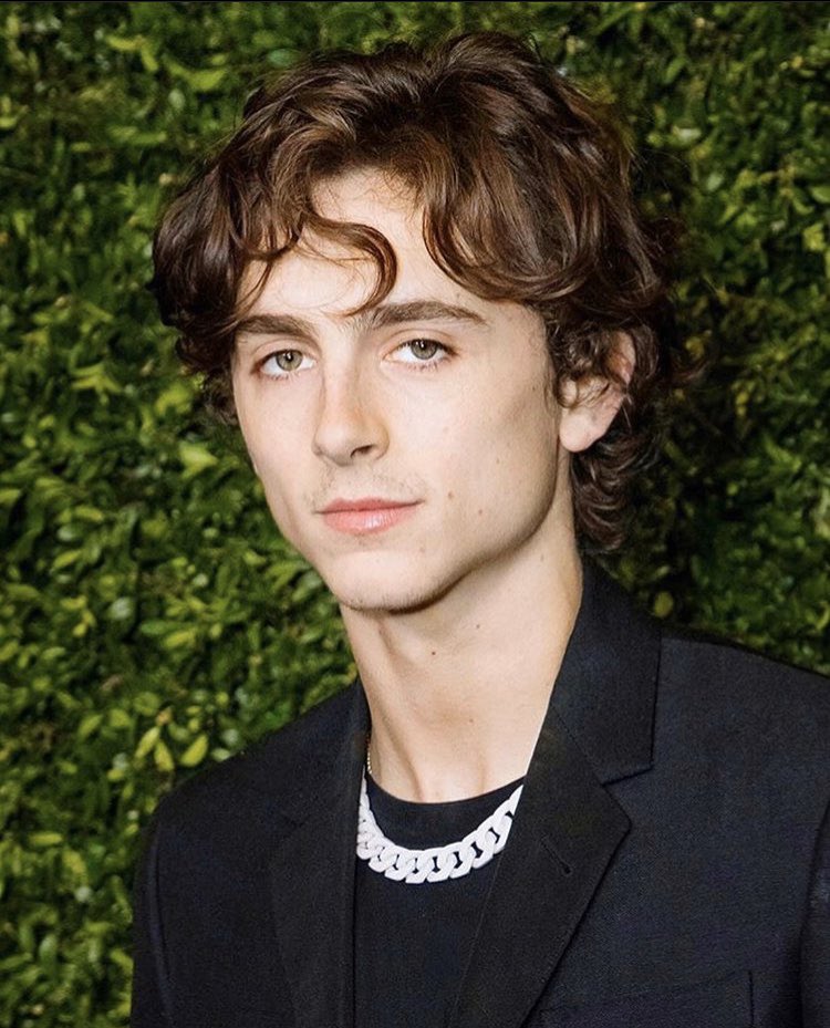 timothée wearing chains a self-indulgent thread :
