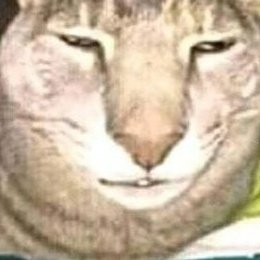 pspspspspps

bottom text