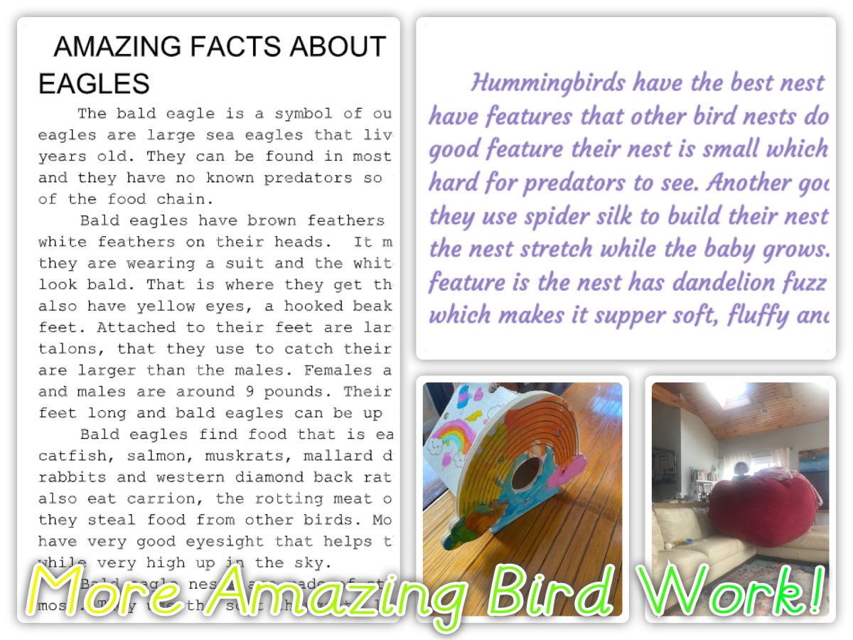 Ms. Fennelly tweet media