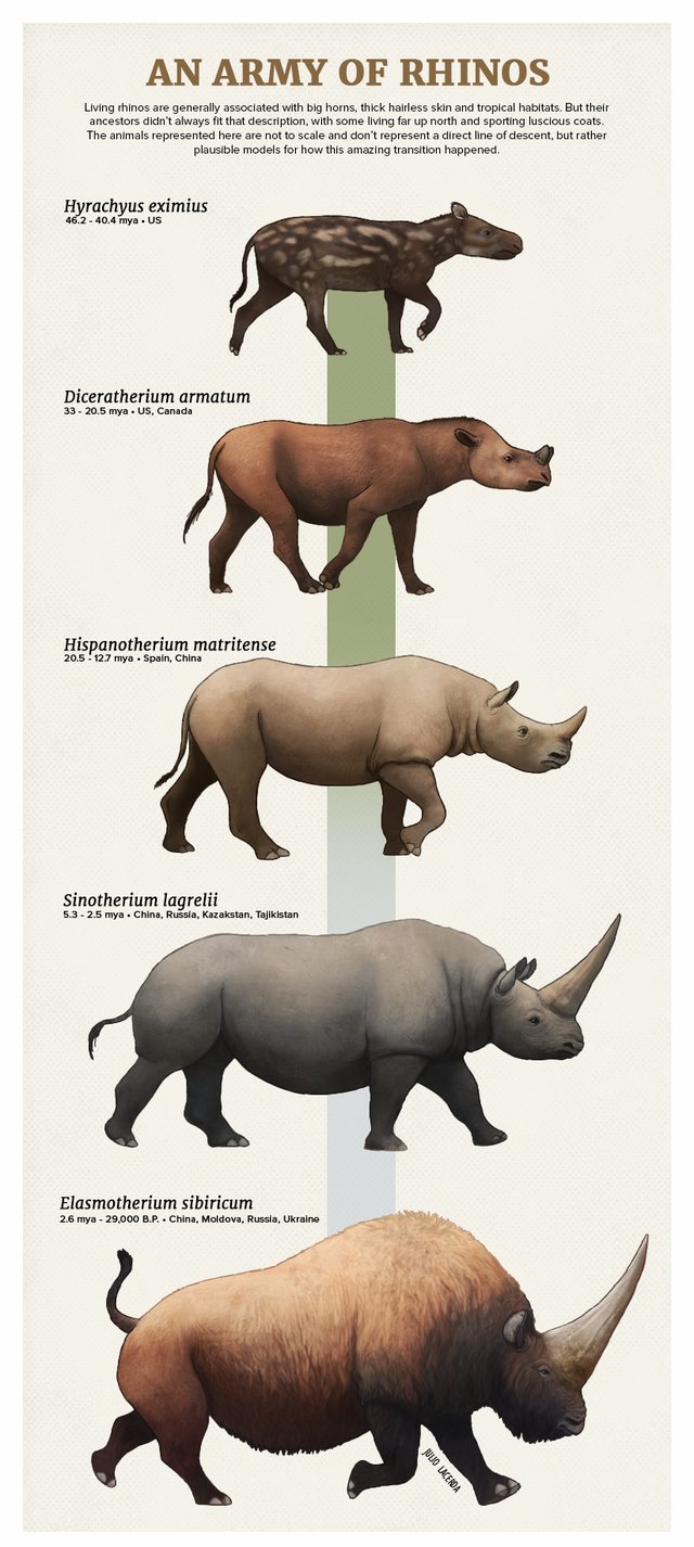 Extinct Animals 🦣🦤 on Twitter: Extinct Animals 🦣🦤 on Twitter:
