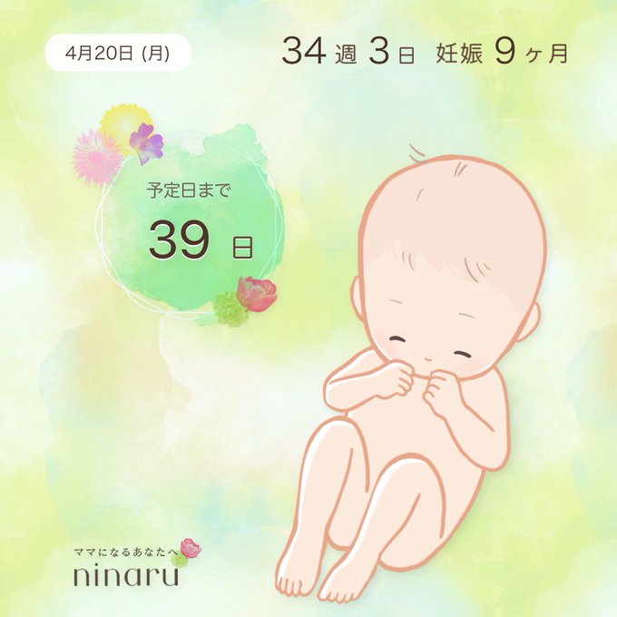 赤ちゃんのポーズのtwitterイラスト検索結果 赤ちゃんのポーズのtwitterイラスト検索結果