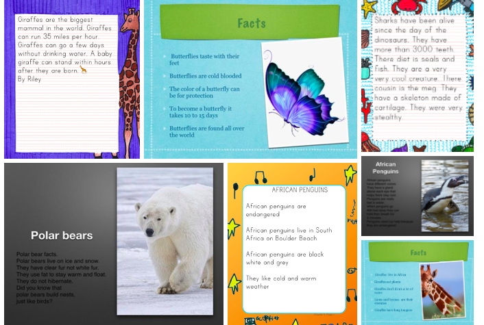 RedcayResources's tweet photo. Our second graders explored live cams and facts @sandiegozoo. Some students responded by sharing what they learned using #PrimaryWriter. Other students created their on @AppleEDU #Keynotes. Students shared their work in a media album on @Schoology @hempfield @miss_tmcdaniel https://t.co/pNxYqWbNuB