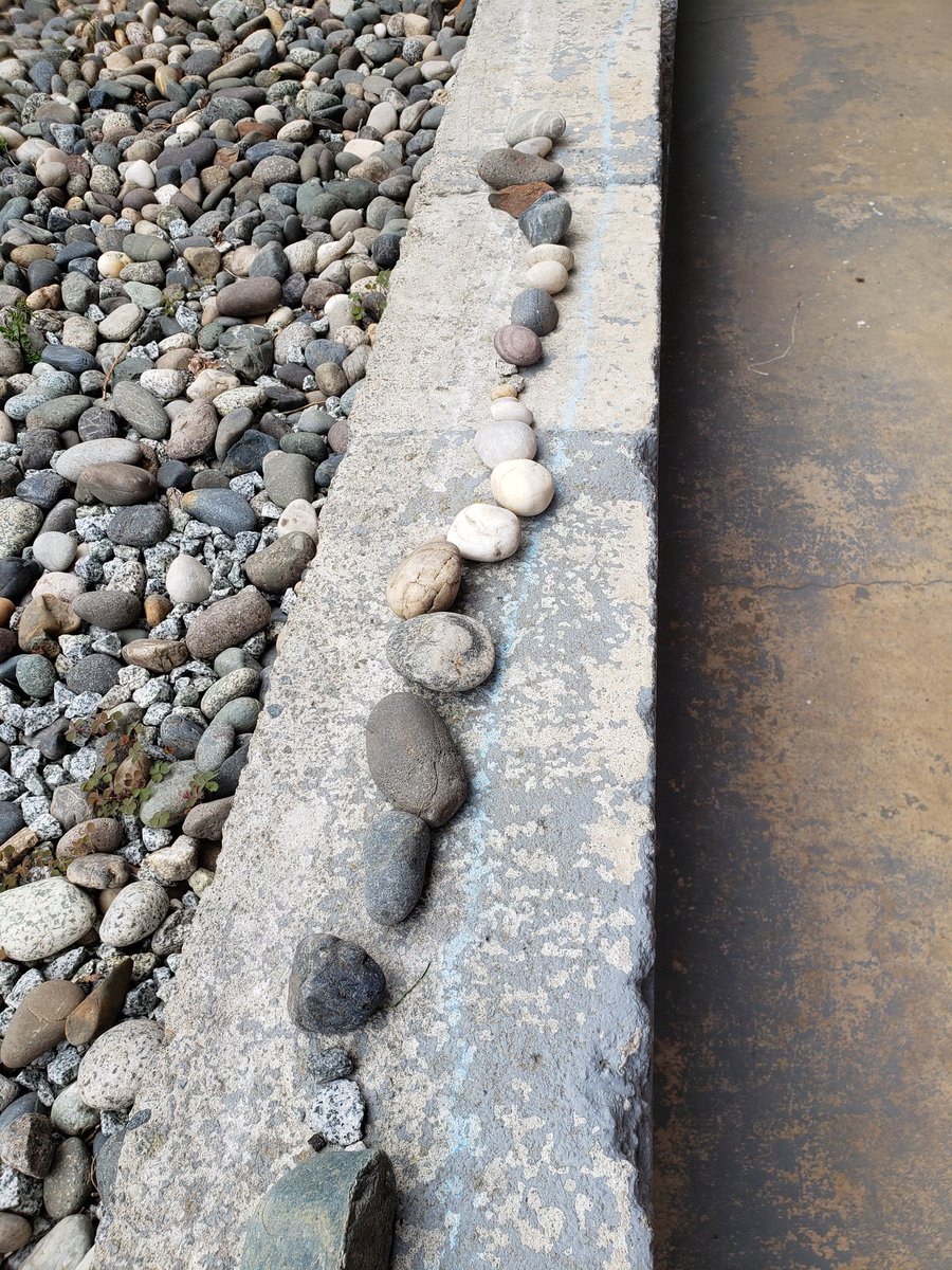 Ms. Rowat tweet media