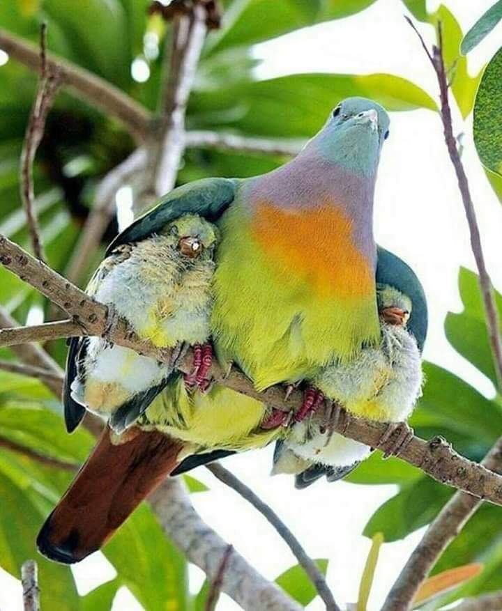 Dr. Stacy (@drstacy_) on Twitter photo 