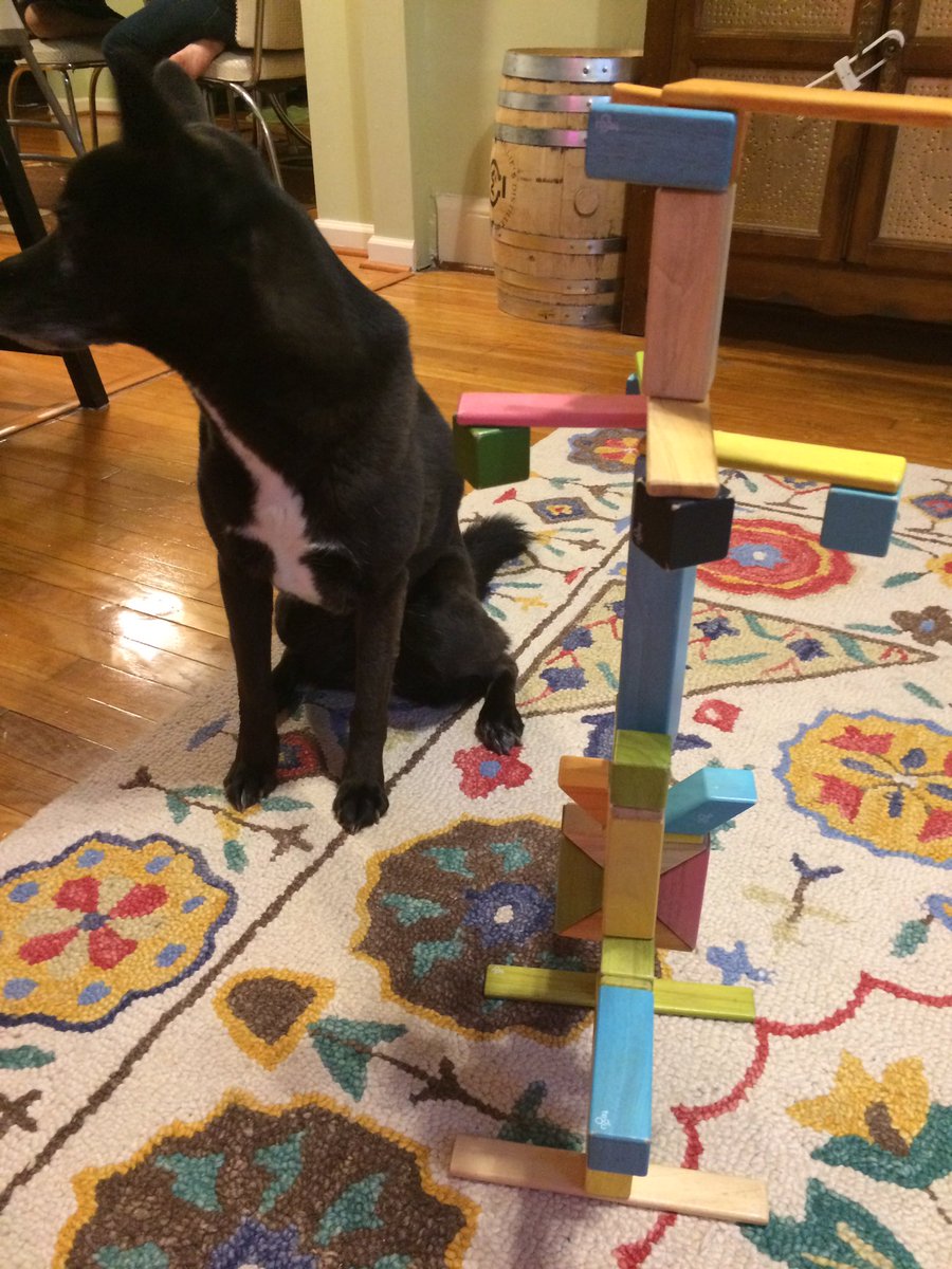 K5Pdc's tweet photo. Building with TEGU!!! https://t.co/A3EVAKsiEW