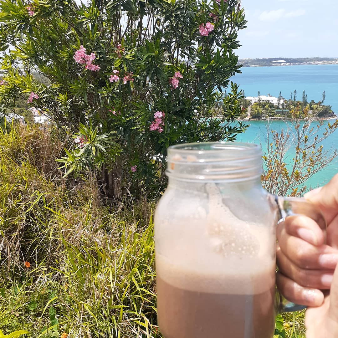 thetouchgoddess's tweet photo. Vegan Chocolate with Coconut milk and Seamoss

#infusedherbs #bermudaherbstore #bermudayonisteam #goddessspa  #bermudaislands #bermudafoodie #alkalinevegan #alkalinevegan #Bermuda #alternativefood #bermudanaturaljuices #bermudanaturalteas #bermudanaturalmedicine #coronavirus https://t.co/dQOd5okqdt