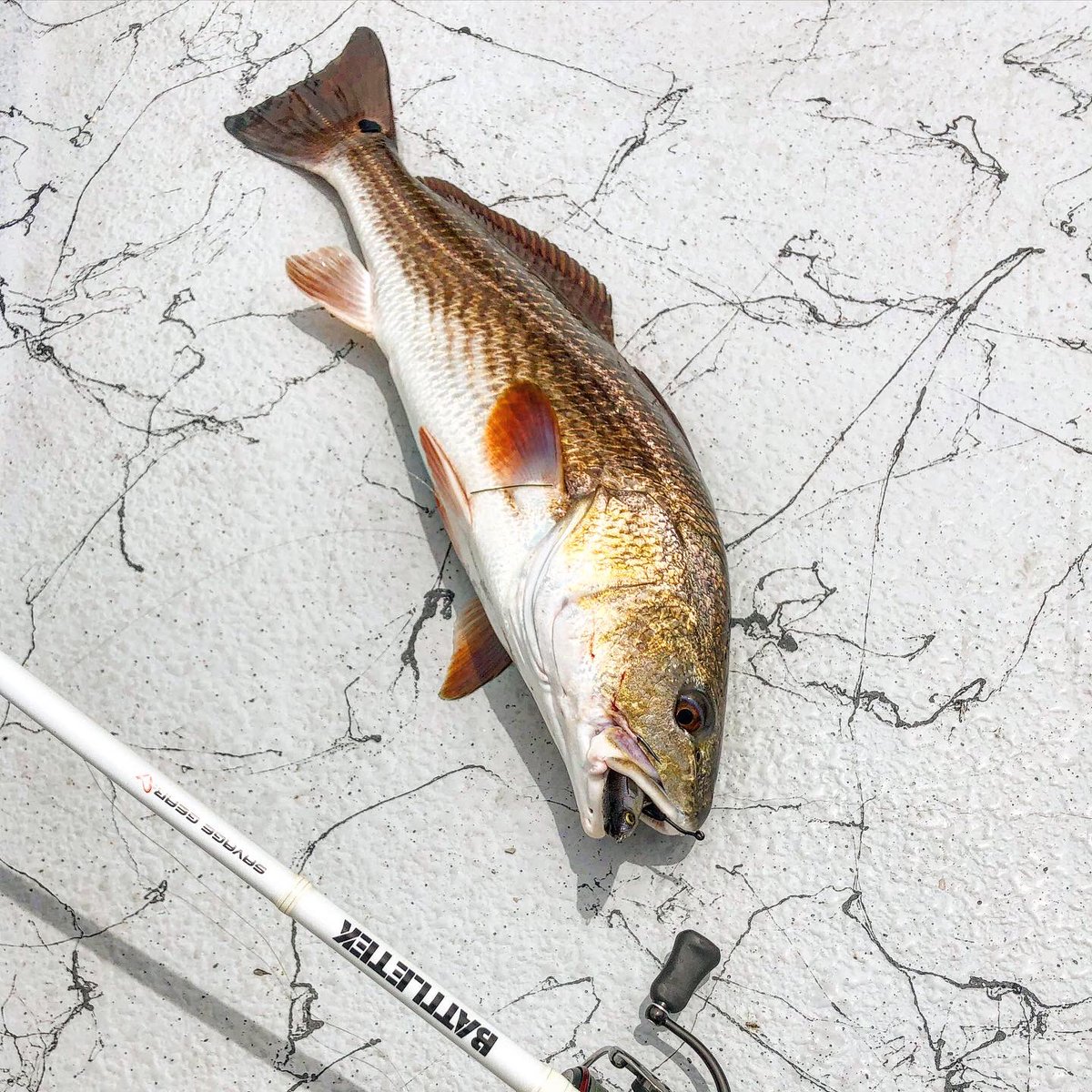 battletek fishing rod