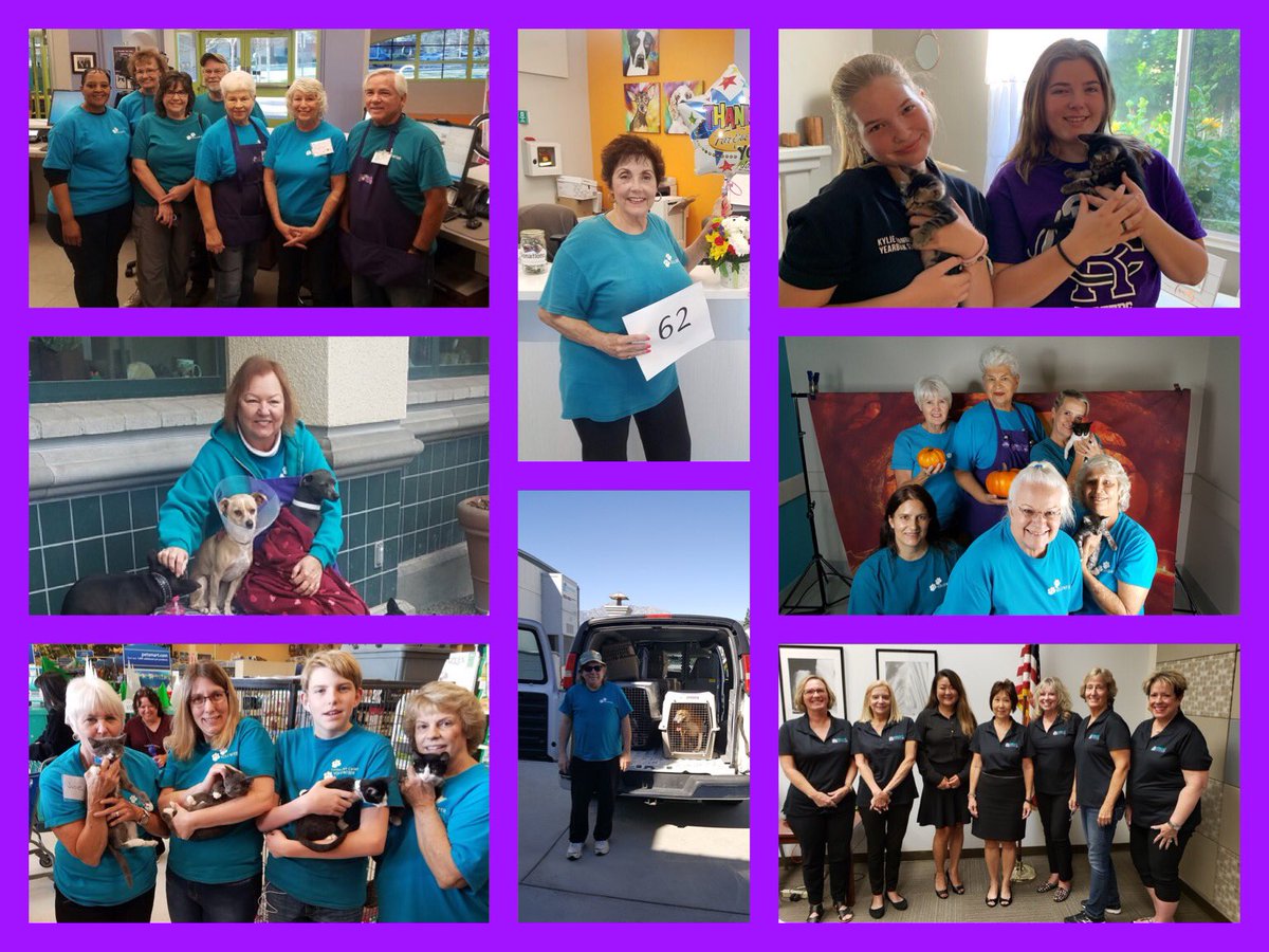 RCAnimalCenter's tweet photo. Our volunteers are amazing. We may be physically apart, but we can feel your support and dedication. Thank you for being on our team❤️ #WeGotThis #TogetherRC #RCcommUNITY #StayAtHome #PhysicalDistancing #WeAreRCStrong #rcanimalcenter #creatingpawsitiveimpact https://t.co/8qbNyUmbG3