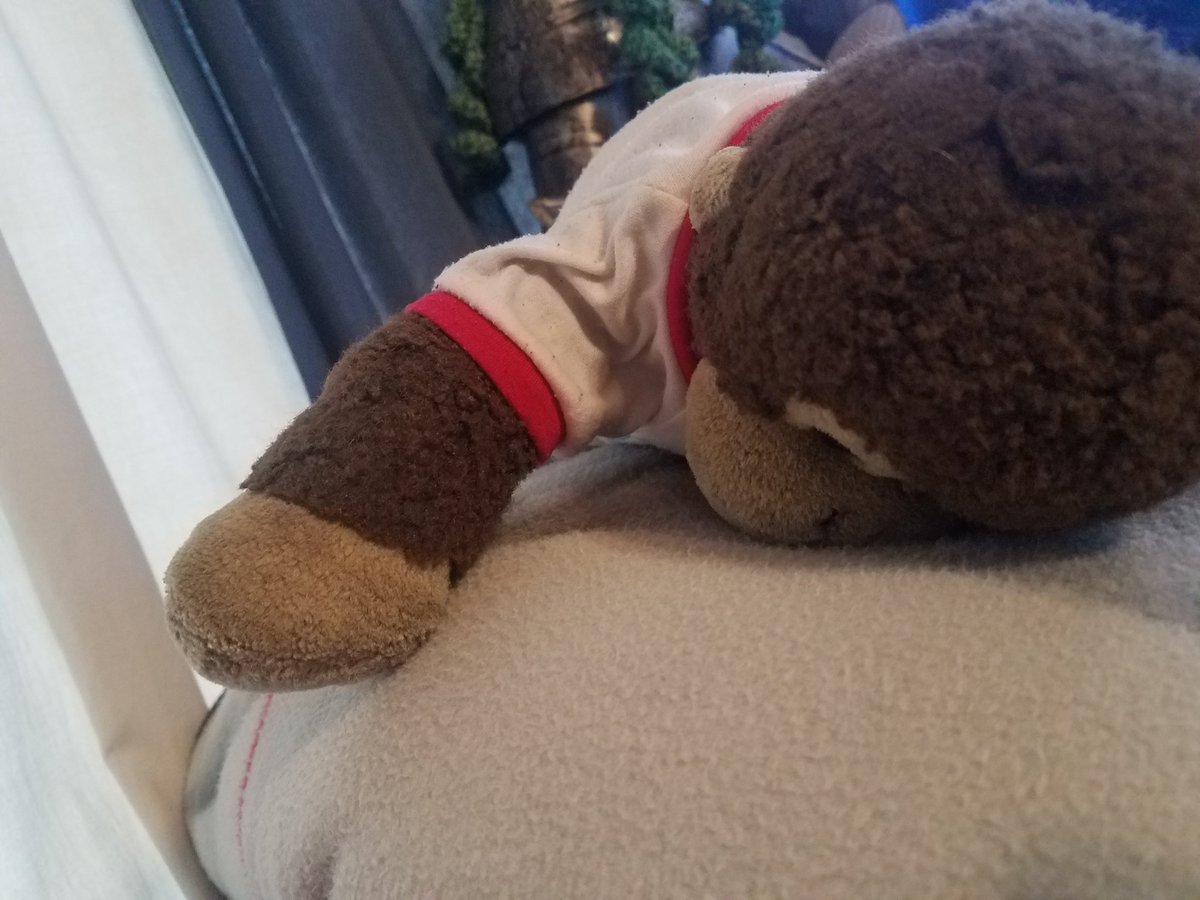 Shaolindamonkey's tweet photo. Sometimes you just have to have a series of #naps especially after some yummy #spaghetti https://t.co/hRSZJF4NJ4