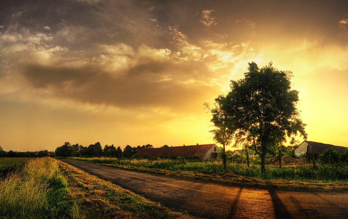 Remember that the world is beautiful, and our place in it is worth fighting for. I love you all.