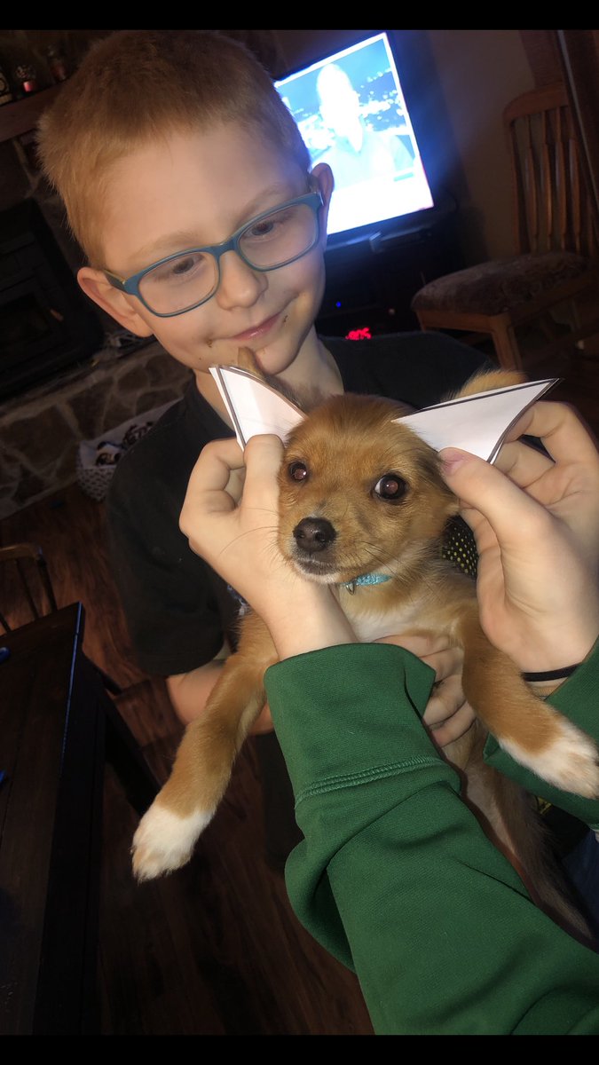UCommHayley's tweet photo. Learning shapes with a puppy assistant! 🤓 #SocialSunday 

(please forgive my nephew’s face, he’s 5 years old and doesn’t believe in napkins yet) https://t.co/bUKZfbyBAk