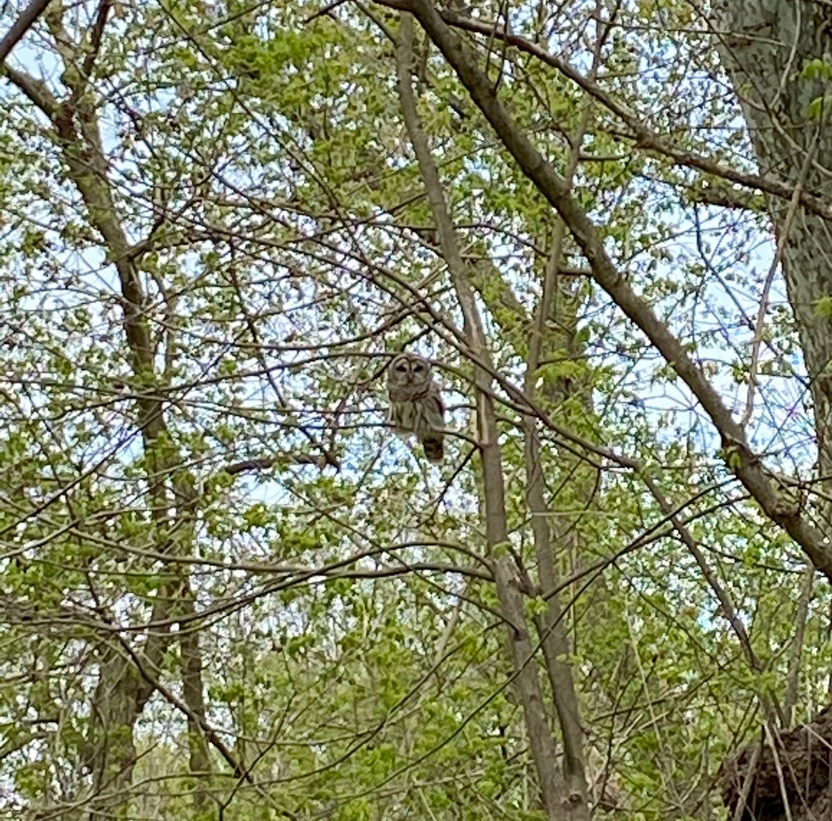 KeltronZero's tweet photo. Saw this dude on our hike today https://t.co/ywxjUm8hgH