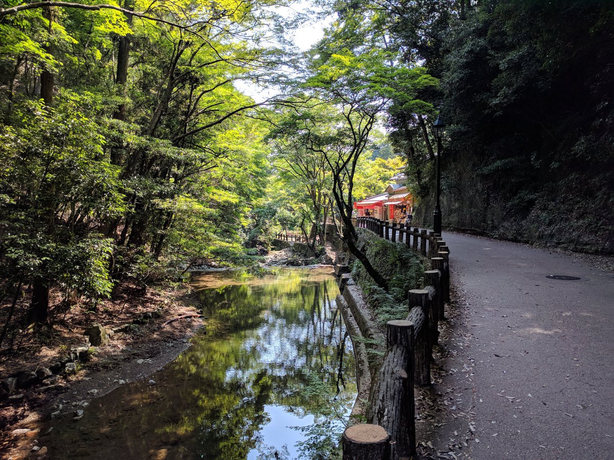 Daniel Serrano tweet media