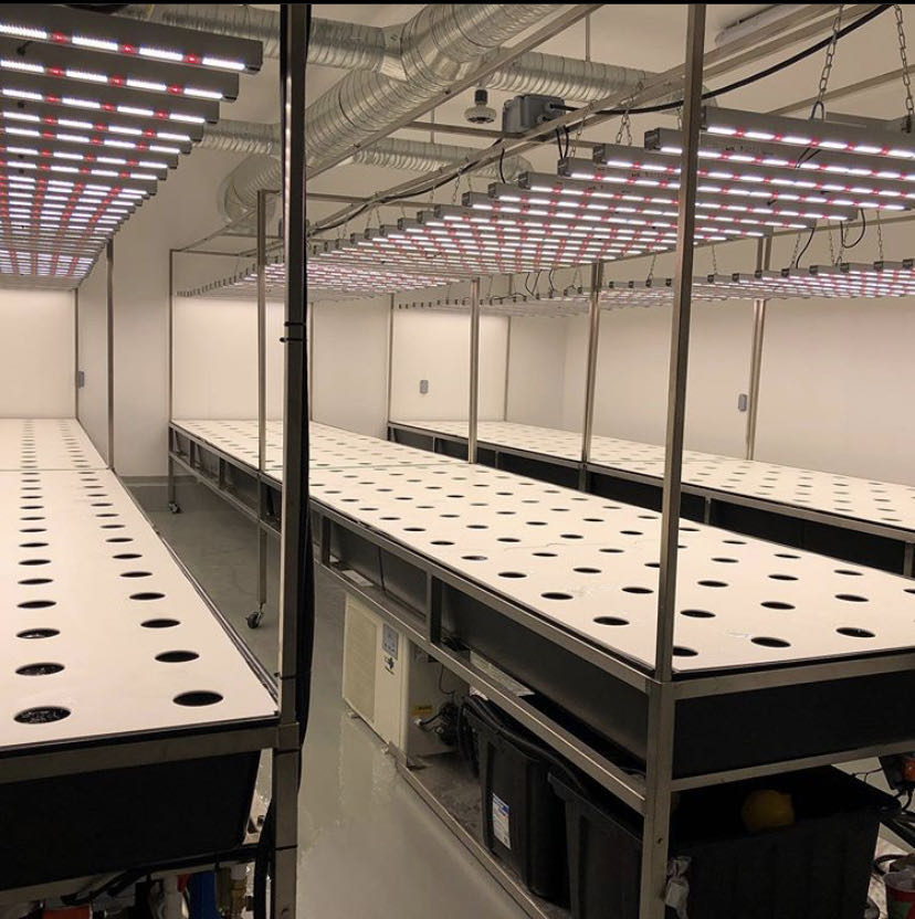Nanolux led grow light best sale