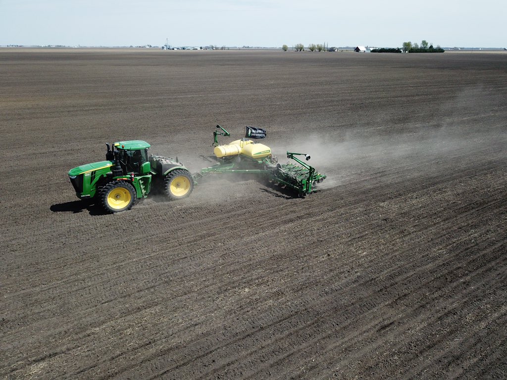 David Mulch tweet media