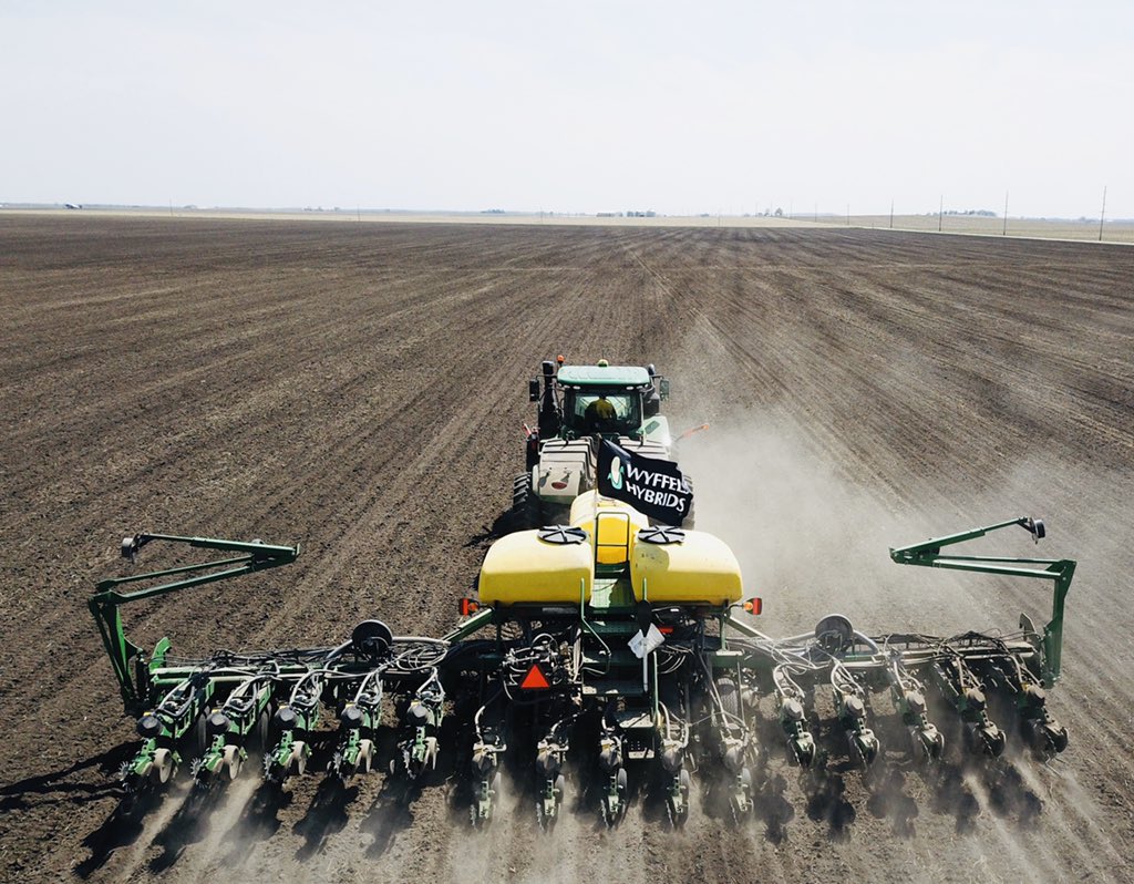 David Mulch tweet media