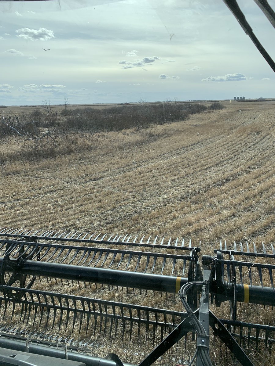 kenton338's tweet photo. #Springishere #Orisitfall #whatdayisit https://t.co/NN2BC00um4